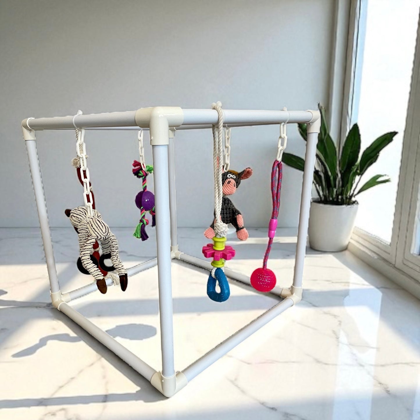 Signature Puppy Gym