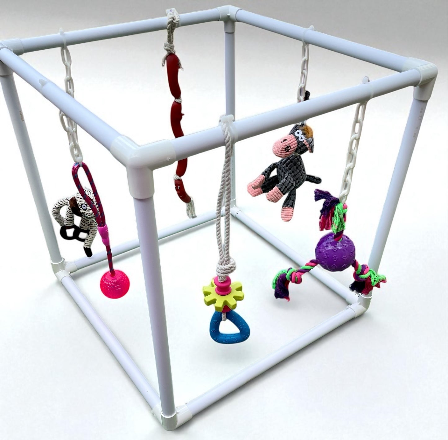 Signature Puppy Gym
