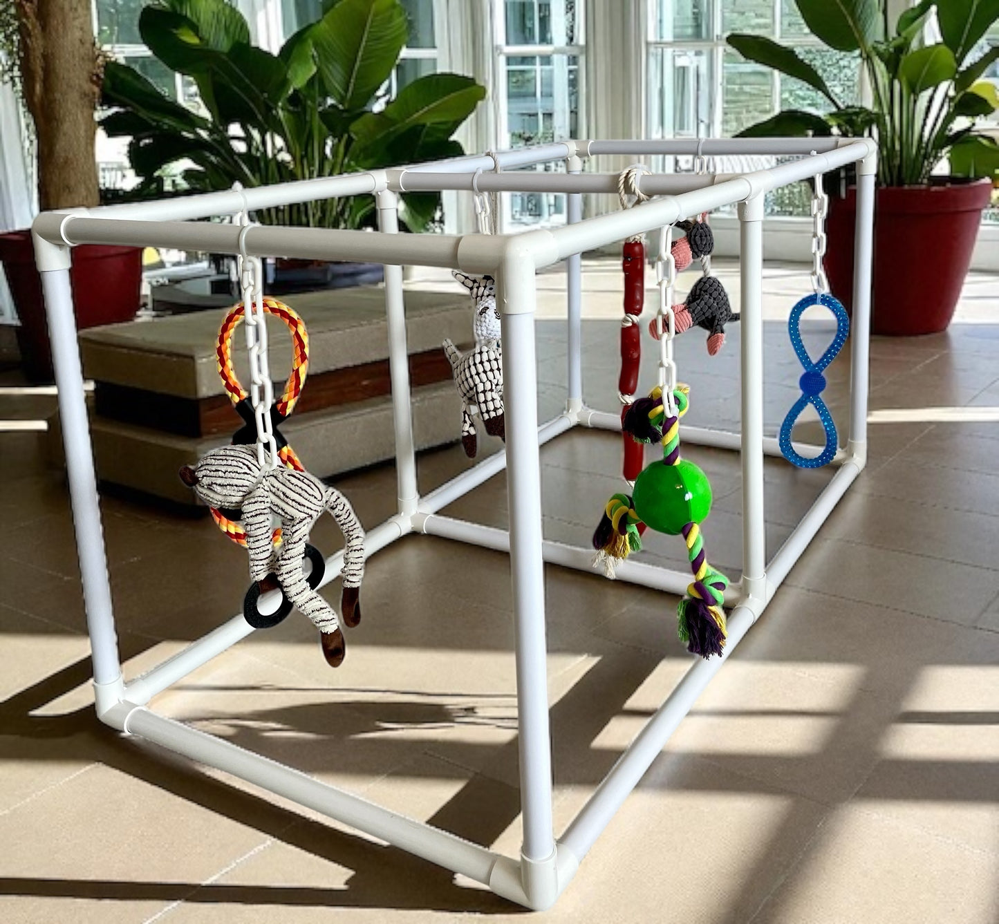 Elite Puppy Gym