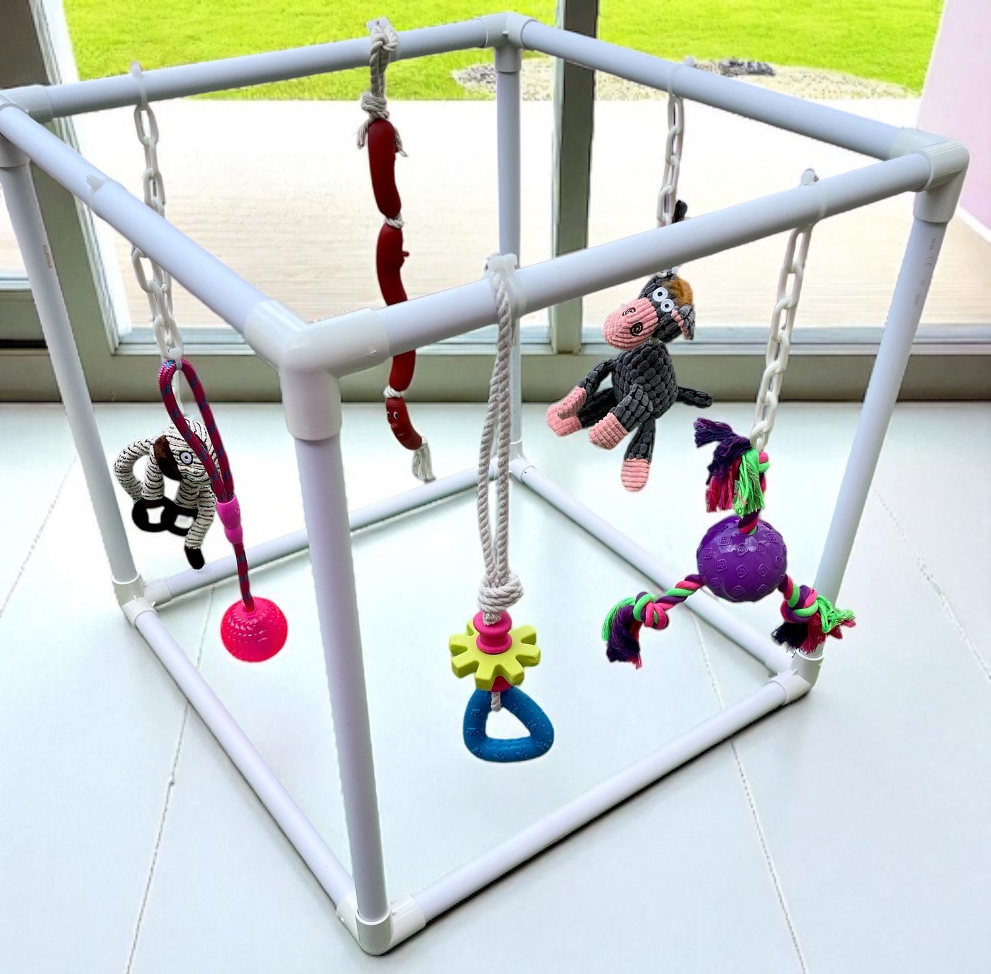 Signature Puppy Gym