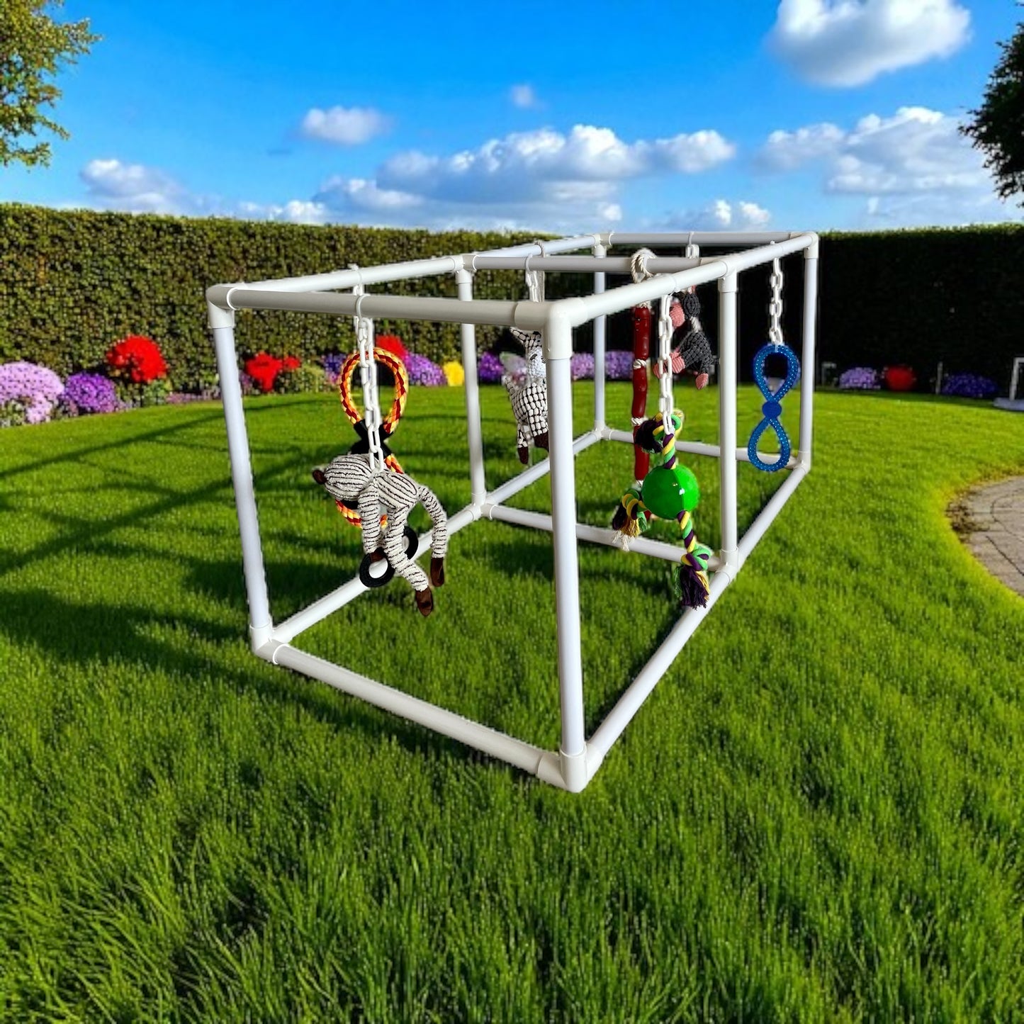 Elite Puppy Gym