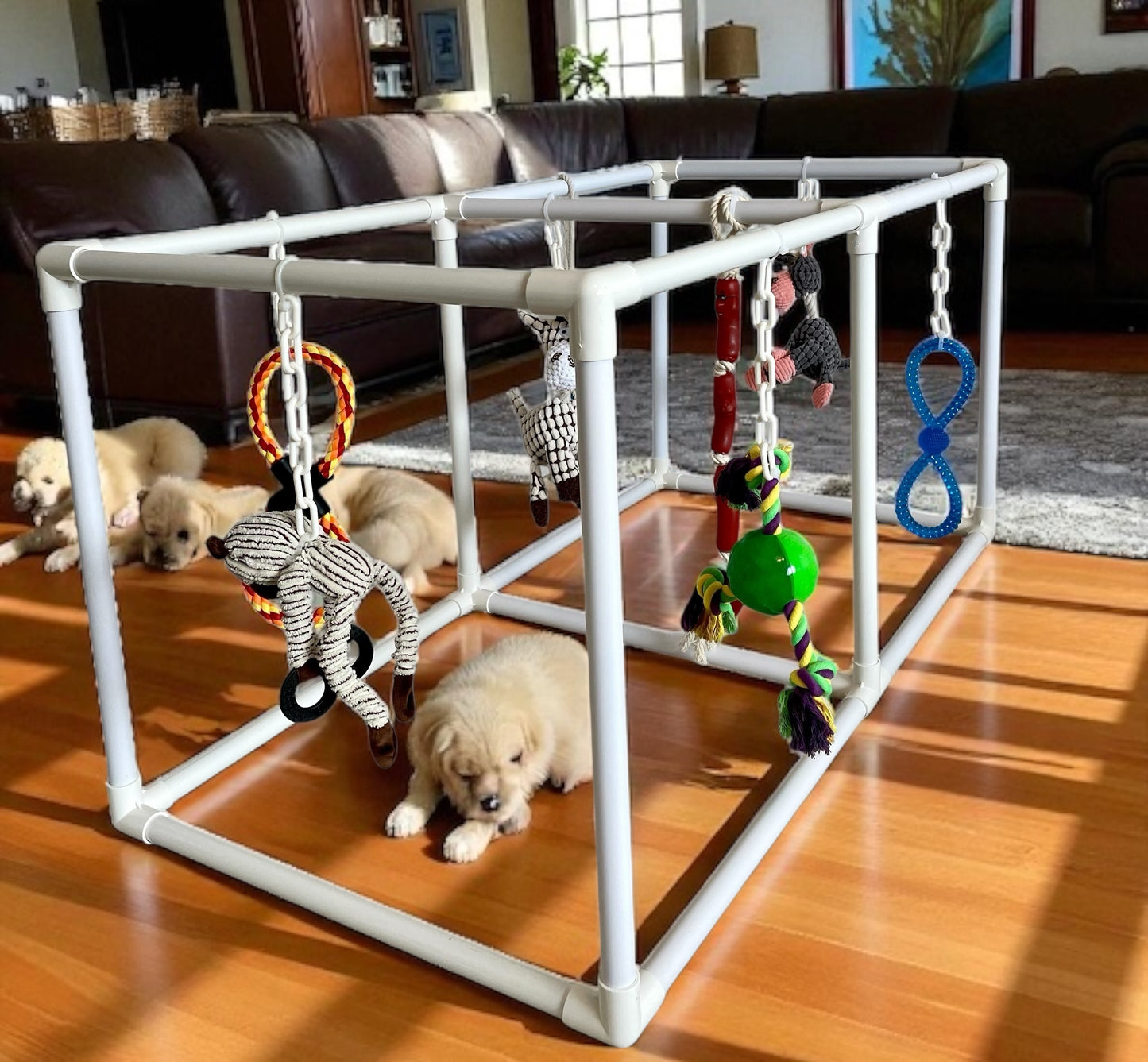 Elite Puppy Gym