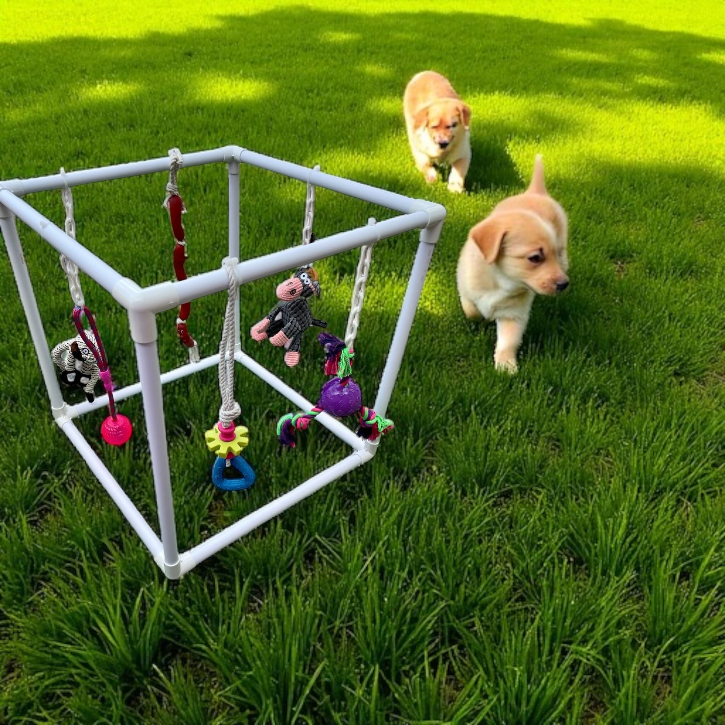 Signature Puppy Gym